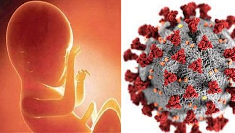 कोरोनामुळे वाढले नैसर्गिक गर्भपात