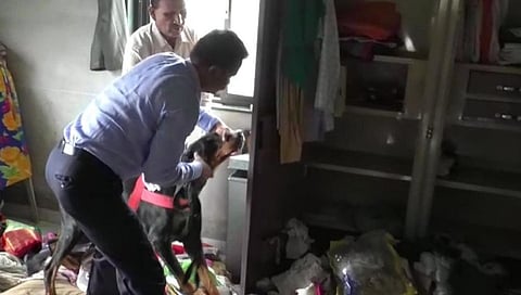 धुळ्यात चोरट्यांचा धुमाकूळ; बारा तोळे सोन्याचे दागिने लंपास