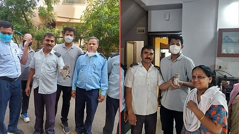 नाशिकमध्ये दुर्मिळ प्रजातीच्या घुबडाला मिळाले जीवदान