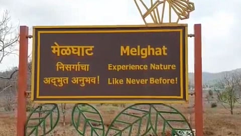 मेळघाट व्याघ्र प्रकल्प अनलॉक : चिखलदऱ्यात जंगल सफारीला परवानगी