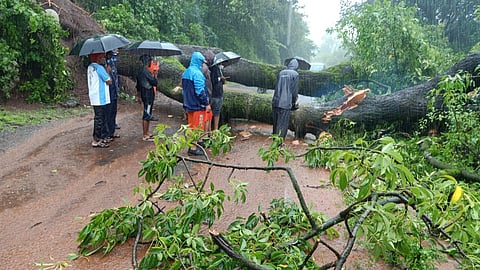 चिपळूनला निघालेल्या NDRF ची टीम अडकली संकटात; पाहा फोटो