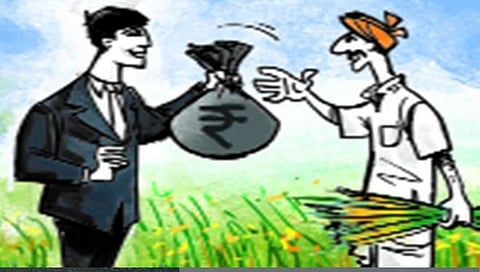 Farmer crop loan