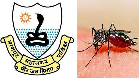 नागपूरात डेंग्यूचा डंख; कोरोनाचा प्रभाव कमी असताना डेंग्यूची धास्ती