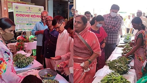 कृषी विभाग व मविमच्या संयुक्त विद्यमाने 'रानभाज्या' महोत्सव साजरा