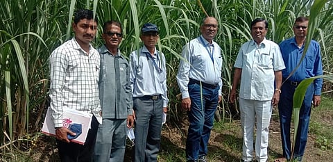 ज्ञानेश्वर कारखान्याच्या ऊस बेणे प्लॉटला शास्त्रज्ञांची भेट.