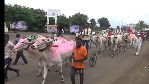 सांगलीत बैलगाडा शर्यत प्रेमींचा मोर्चा तर ठाण्यातील शेतकरी आक्रमक