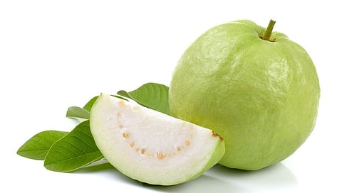 Health Benefits Of Guava