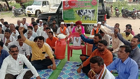 परभणीत स्वाभिमानी शेतकरी संघटनेचे गाई - वासरांसह अन्नत्याग आंदोलन