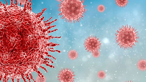 Corona virus