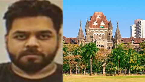दाऊदच्या पुतण्याची जामिनासाठी हायकोर्टात याचिका