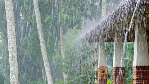 Rain Update