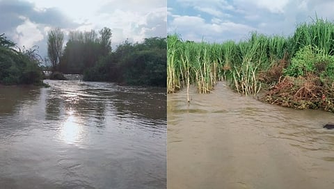 लातुरात पूर परिस्थितीमुळे पिकांचे नुकसान; विमा कंपनीला 338 कोटींचा नफा !