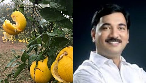 Unmesh Patil