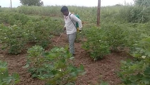 Farmer