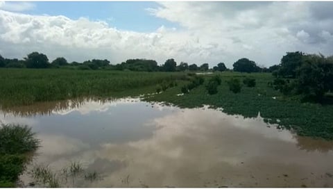 Rain Update: जालन्यात अतिवृष्टीने शेतपिकांचे नुकसान