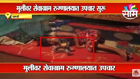 Breaking |...अन झोपलेल्या चिमुकलीच्या गळ्याला नागाने घातला वेटोळा! पहा VIDEO