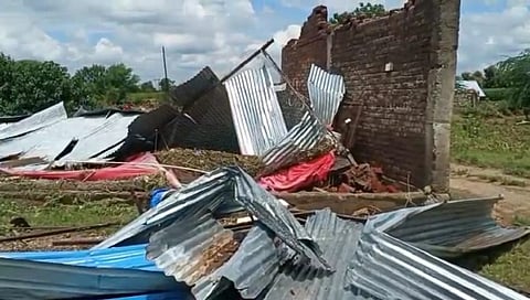 पुरात दहा हजार कोंबड्या गेल्या वाहून; २० लाखाचे नुकसान