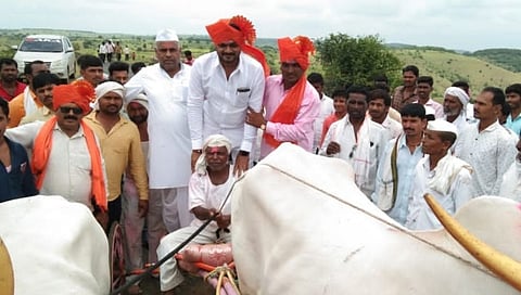 बंदी झुगारुन खुद्द शिवसेनेच्या पदाधिकाऱ्याच्या प्रमुख उपस्थितीत बैलगाडी शर्यत....