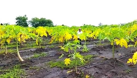 ठेकेदाराची एक चूक अन् शेतकऱ्याचं दोन लाखांचं नुकसान