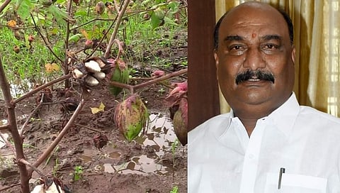 अतिवृष्टीत पालकमंत्र्यांनी शेतकऱ्यांना सोडले वाऱ्यावर