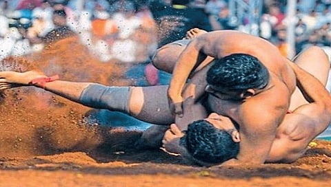 कुस्तीपटूचा मान मुरगळल्याने मैदानावरच तडफडून मृत्यू; पाहा Video