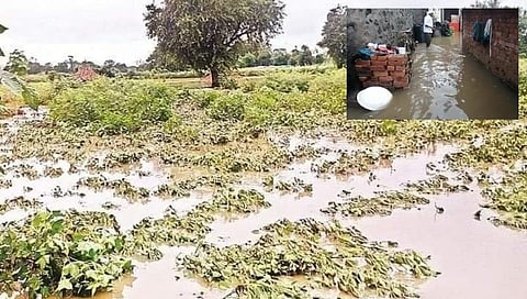 Breaking Latur : लातुरात पावसाचा हाहा:कार!