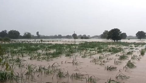 बीड जिल्ह्यात मुसळधार पाऊस, शेतकऱ्यांच्या शेतात घुसले पाणी (पहा व्हिडिओ)