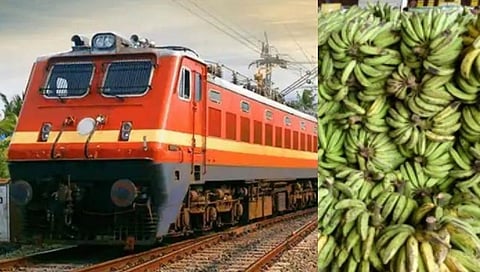 Banana Transport