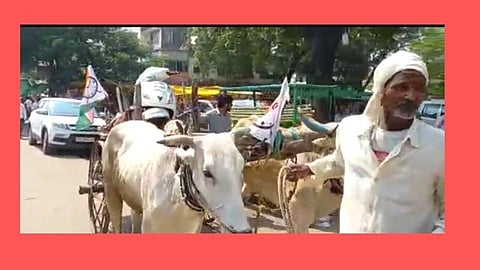 राष्ट्रवादीचे इंधन दरवाढी विरोधात अनोखं 'लॉलीपॉप' आंदोलन