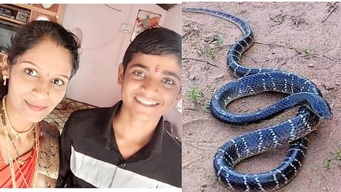 Sangali| भावाचा साप चावल्याने मृत्यू; रक्षाविसर्जनासाठी आलेल्या बहिणीचाही केला त्याच सापाने अंत !