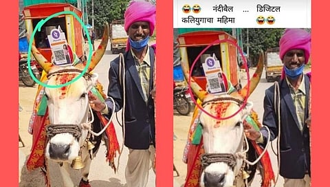 ...म्हणून सोशल मिडीयावरती नंदीबैलवाल्याचा 'तो' फोटो होतोय व्हायरल!