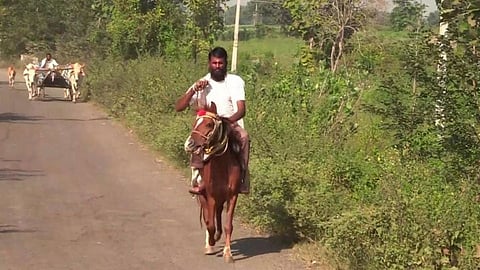 वाढत्या इंधनदराने त्रस्त, तरुणाची घोड्यावरुन स्वारी