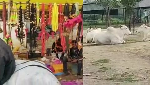 भाद्रपदी बैल पोळ्याच्या तोंडावर बाजारपेठ बंद...