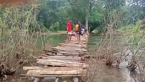 Gadchiroli: ग्रामस्थांनी श्रमदानातून बांधला बांबूचा पूल; कठीण परिस्थितीत काढावी लागायची वाट