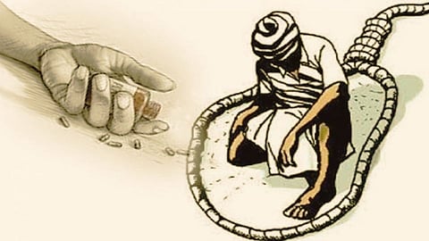 Beed: अतिवृष्टीमुळे पीक गेलं; शेतकऱ्याने उचललं टोकाचं पाऊल...