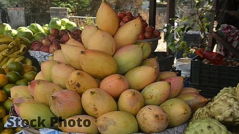 Mango