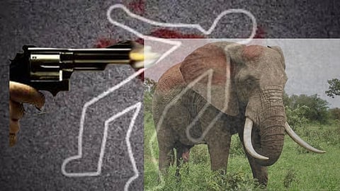 Crime : हत्तीच्या नावावर 5 कोटींची संपत्ती करणाऱ्या 'त्या' इमामाची हत्या