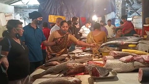 31 डिसेंबर निमित्त मच्छी महाग; 200 ते 300 रुपयांनी वाढ