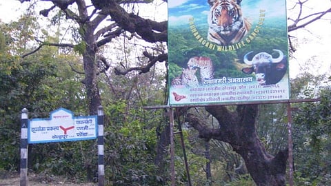 dajipur sanctuary