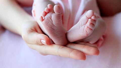 Baby Farming