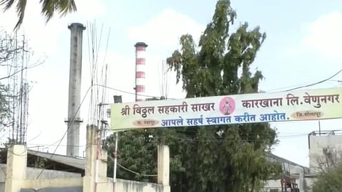 Sugar Factories