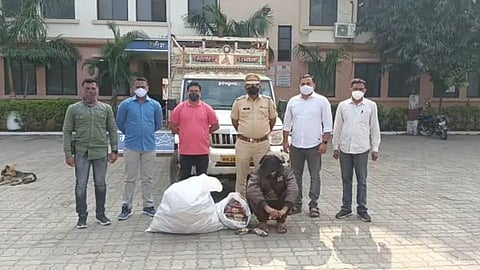 ऑपरेशन गुटखा किंग