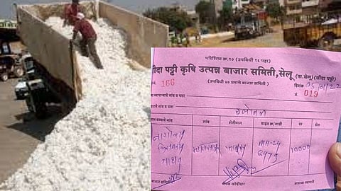 cotton price