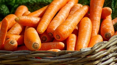 Carrot