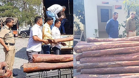 सांगलीत 'पुष्पा' चित्रपटाची पुनरावृत्ती रक्तचंदनाची तस्करी करणाऱ्या टोळीचा पर्दाफाश