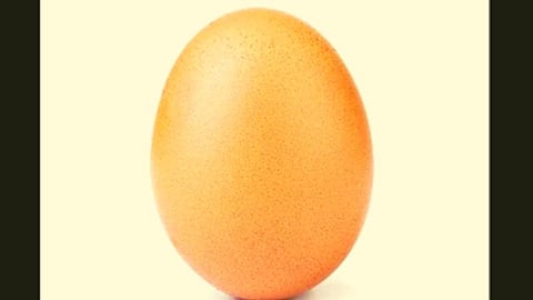 Viral Image Of Egg