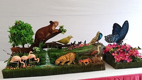 biodiversity standards in maharashtra tableau