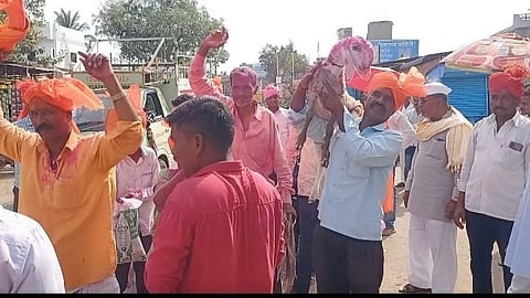Sangli Goat Cost
