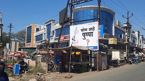 Pune: तळेगावचा कोण आहे पुष्पा? झाडांची कत्तल करणाऱ्याची जोरदार चर्चा...