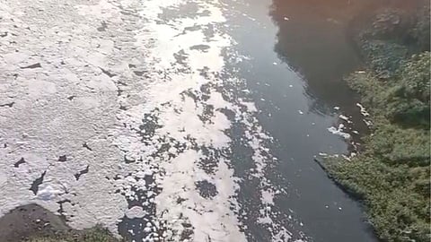Nashik: Godavari water is polluted not suitable for bathing; Comment of the National Green Arbitration